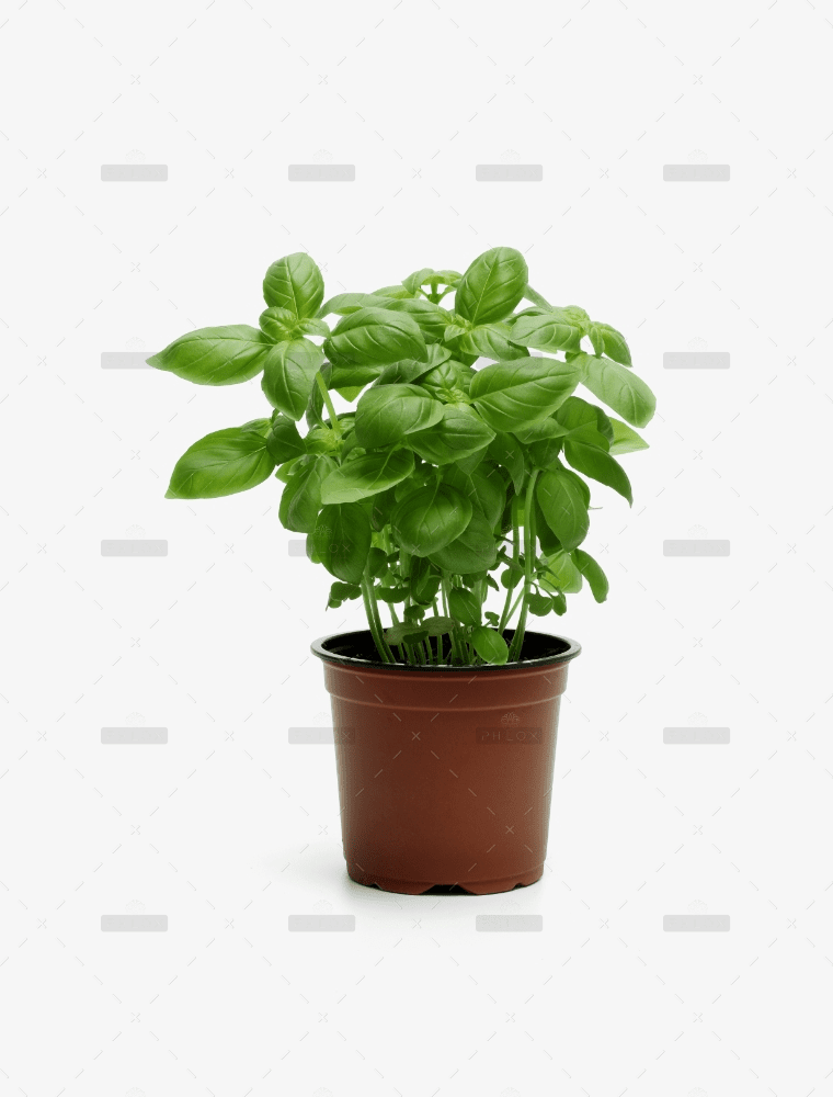 demo-attachment-4301-Group_10161